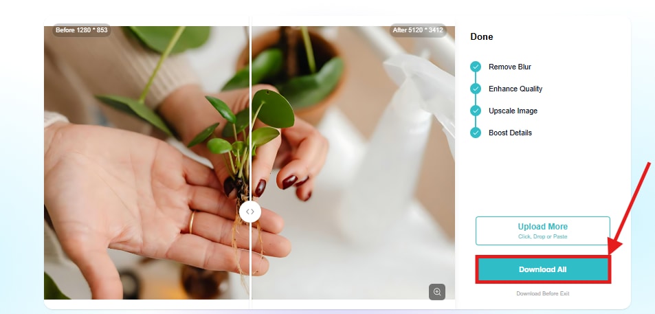 Export option in the PhotoGrid tool